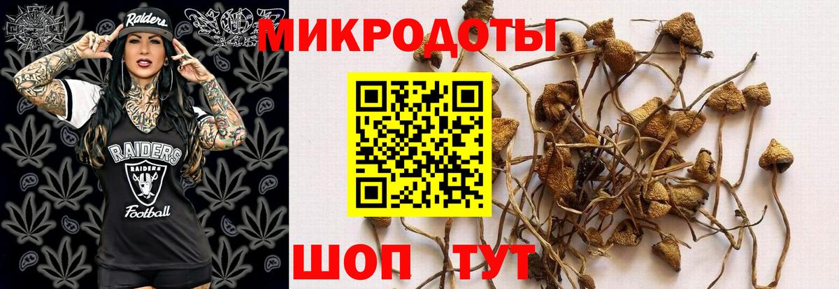 Псилоцибиновые грибы MAGIC MUSHROOMS  Вход с VPN  Шали  Галлюциногенные грибы Psilocybine cubensis 