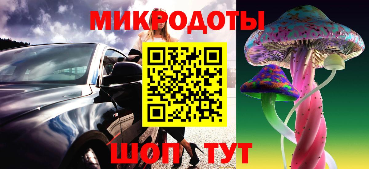 Псилоцибиновые грибы Psilocybe Шали